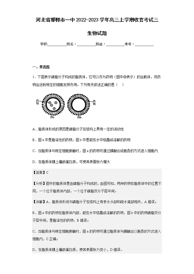 2022-2023学年河北省邯郸市一中高三上学期收官考试三生物试题含解析01