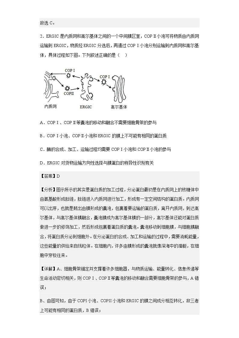 2022-2023学年河北省邯郸市一中高三上学期收官考试三生物试题含解析02