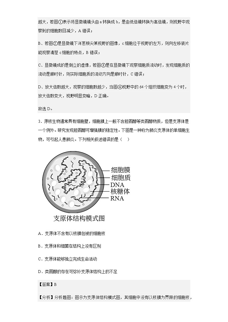2022-2023学年河北省衡水中学高三上学期一调考试生物试题含解析第3页