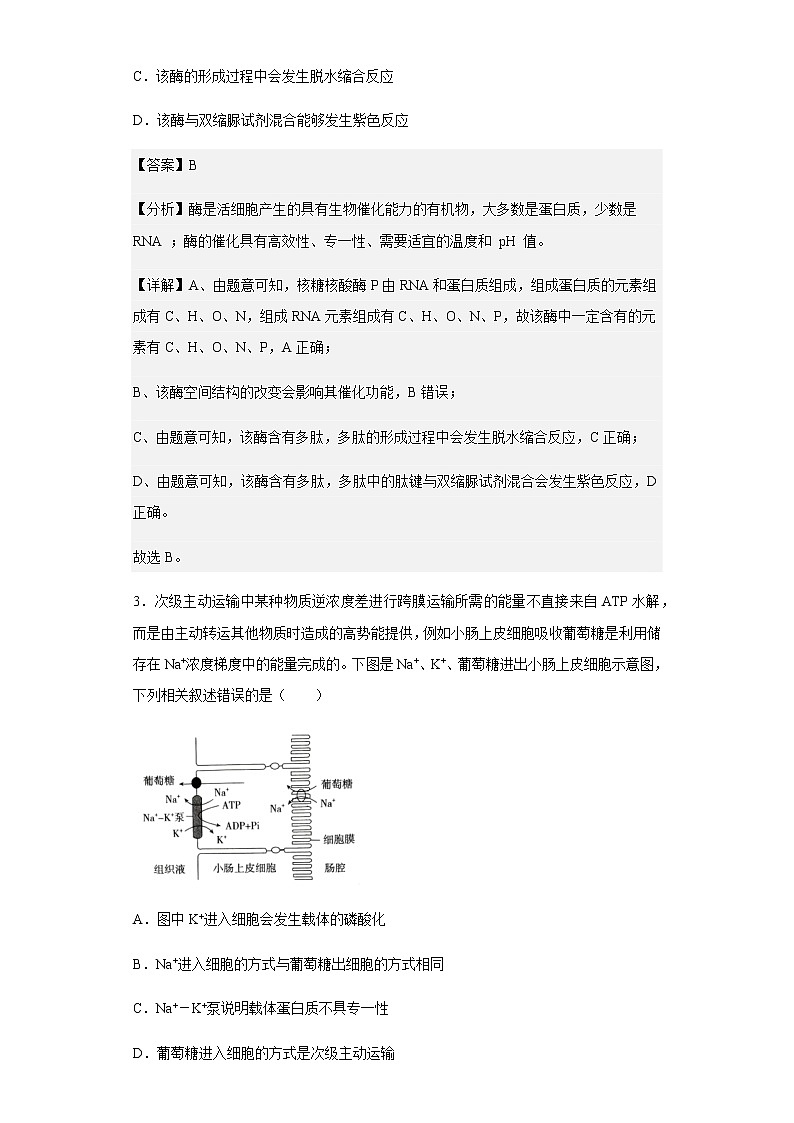 2022-2023学年河北省石家庄市一中教育集团高三上学期质量检测生物试题含解析第2页