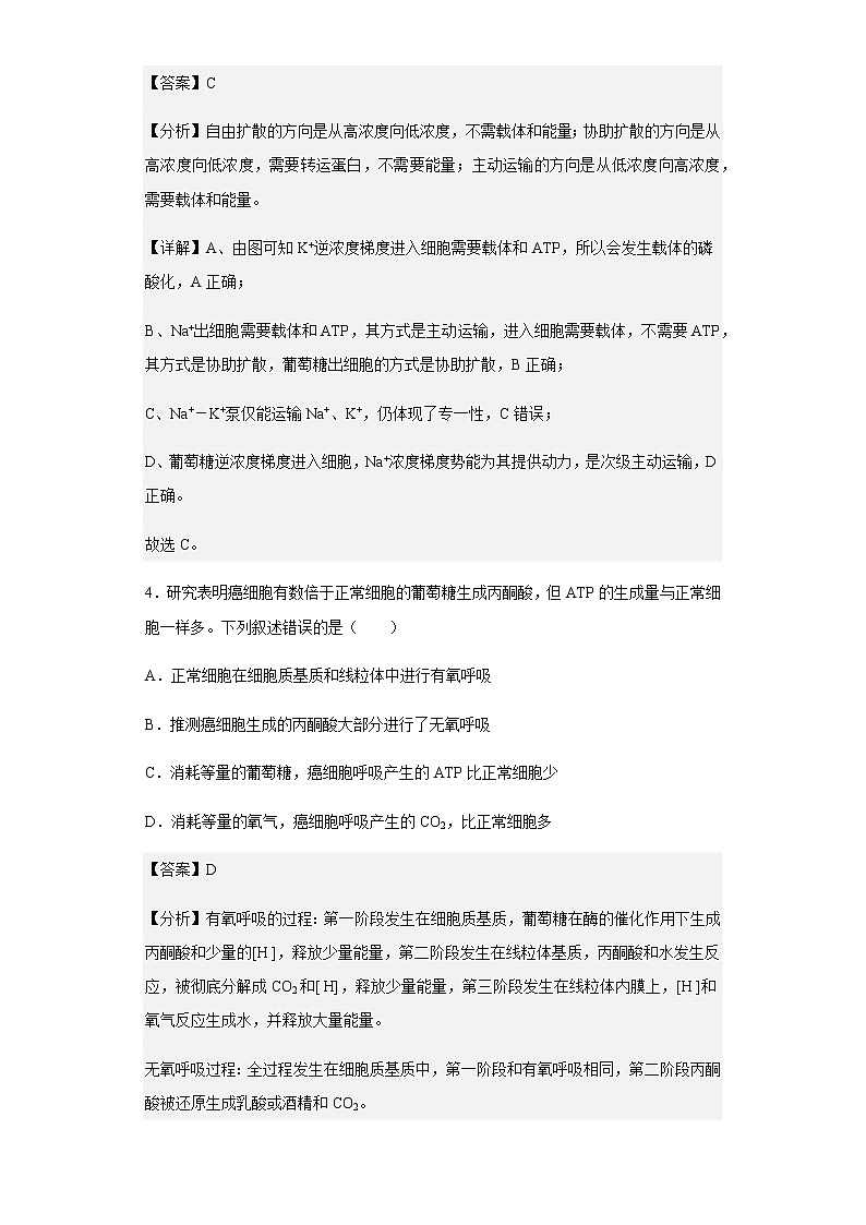 2022-2023学年河北省石家庄市一中教育集团高三上学期质量检测生物试题含解析第3页