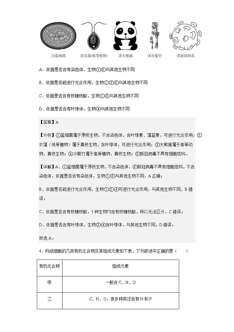 2022-2023学年河北省正定中学高一上学期第二次月考生物试题含解析第3页