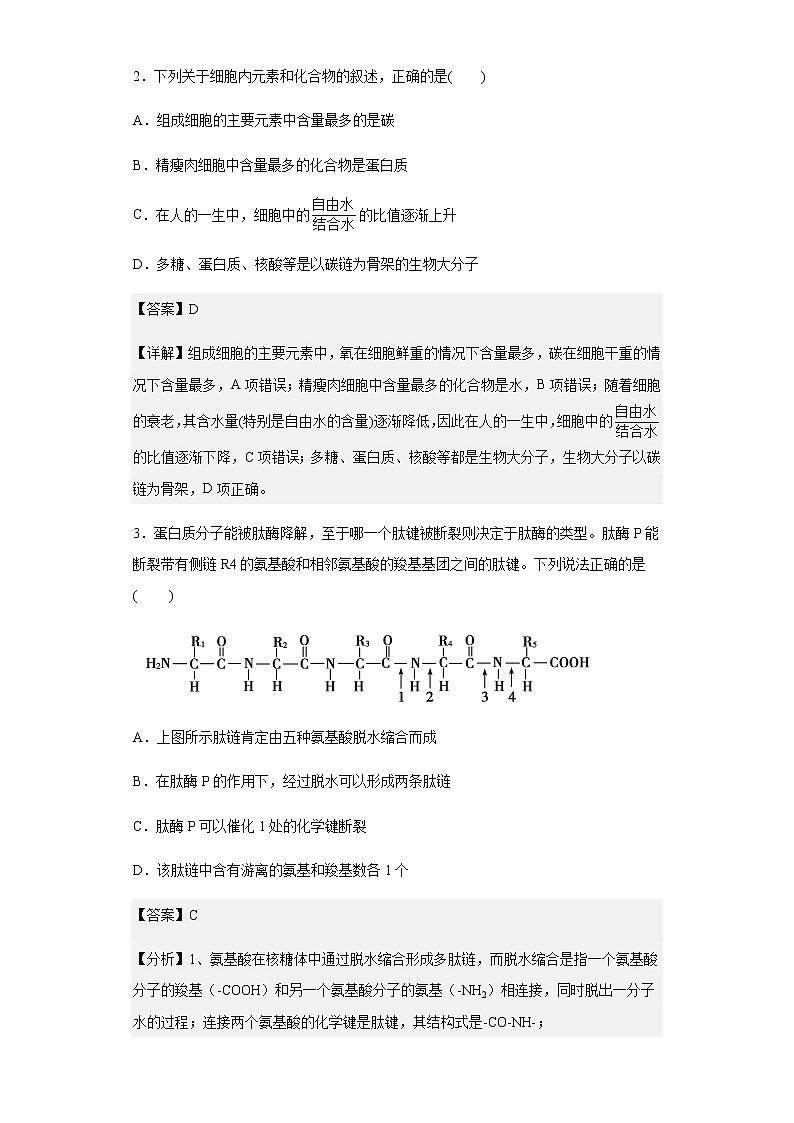 2022-2023学年山东省临沂市一中北校区高一12月阶段性检测生物试题含解析第2页