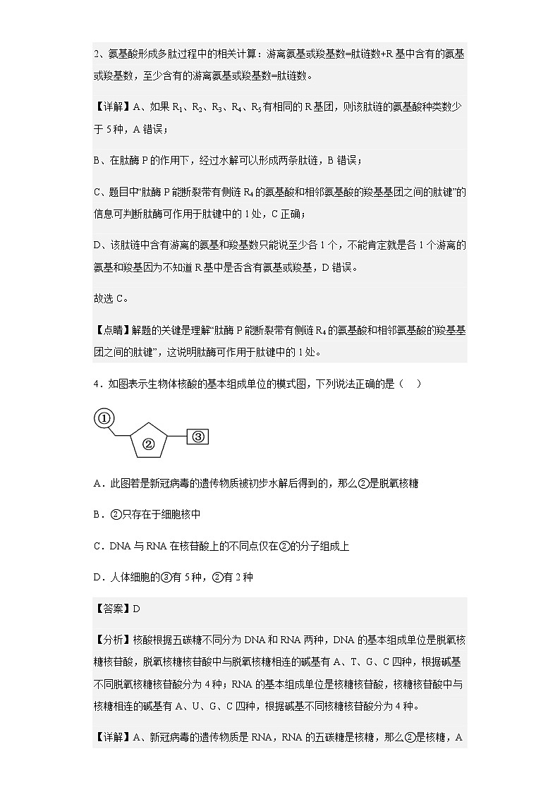 2022-2023学年山东省临沂市一中北校区高一12月阶段性检测生物试题含解析第3页
