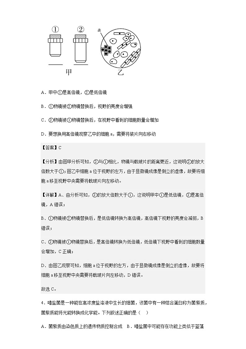 2022-2023学年四川省凉山州宁南中学高一上学期第二次月考生物试题含解析第3页