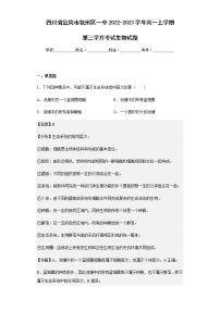 2022-2023学年四川省宜宾市叙州区一中高一上学期第三学月考试生物试题含解析