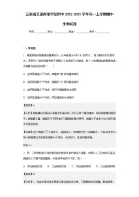 2022-2023学年云南省玉溪师范学院附中高一上学期期中生物试题含解析