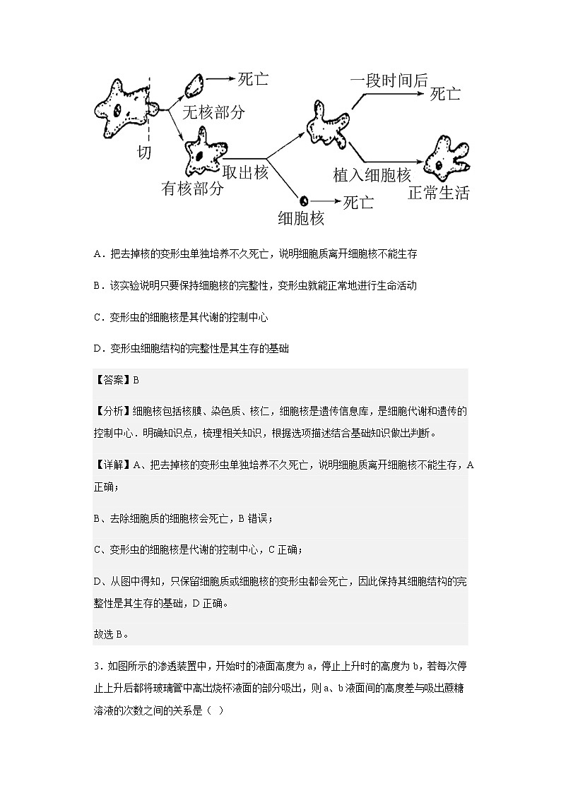 2022-2023学年云南省玉溪市江川区一中高一上学期期中生物试题含解析02