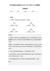 2022-2023学年河北省衡水市武强中学高二上学期期中生物试题含解析