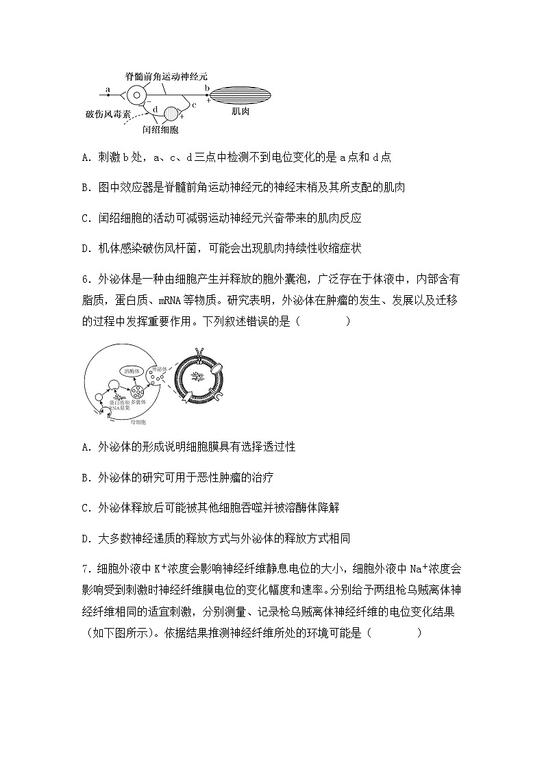 2022_2023学年湖北省襄阳市三中高二年级上学期12月月考生物试卷（含解析）第3页