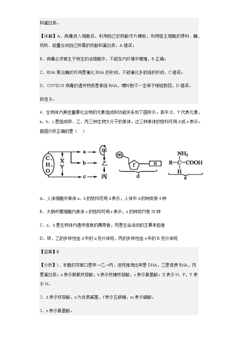 2022-2023学年甘肃省武威市六中高三上学期线上教学诊断生物试题含解析03