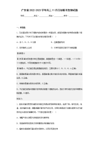 2022-2023学年广东省高三11月百校联考生物试题含解析