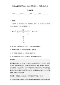 2022-2023学年天津市耀华中学高三11月第二次月考生物试题含解析