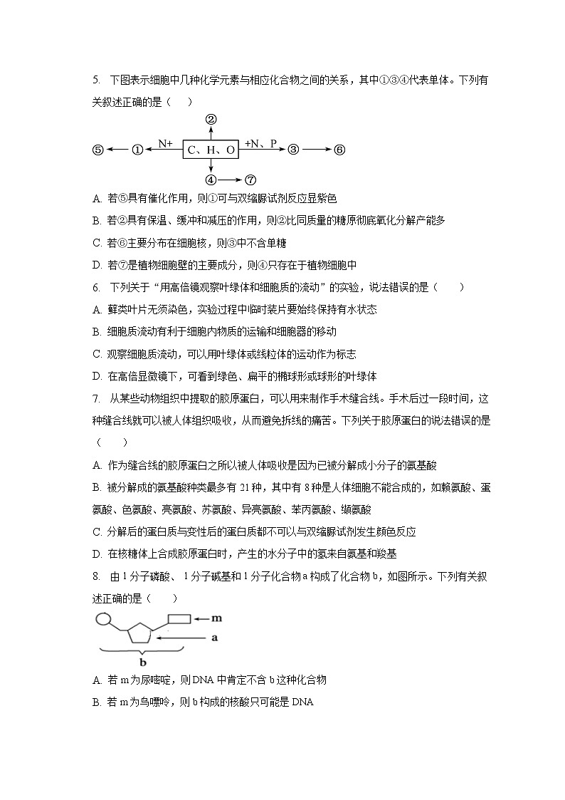 安徽省滁州市定远县育才学校2022—2023学年高一下学期开学考试生物试题02