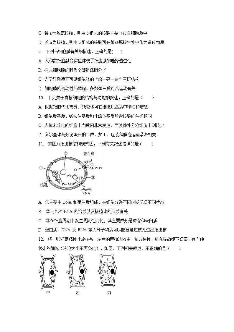安徽省滁州市定远县育才学校2022—2023学年高一下学期开学考试生物试题03