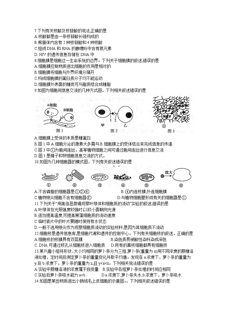 安徽省皖北地区2022-2023学年高一上学期期末联考试题 生物试题第2页