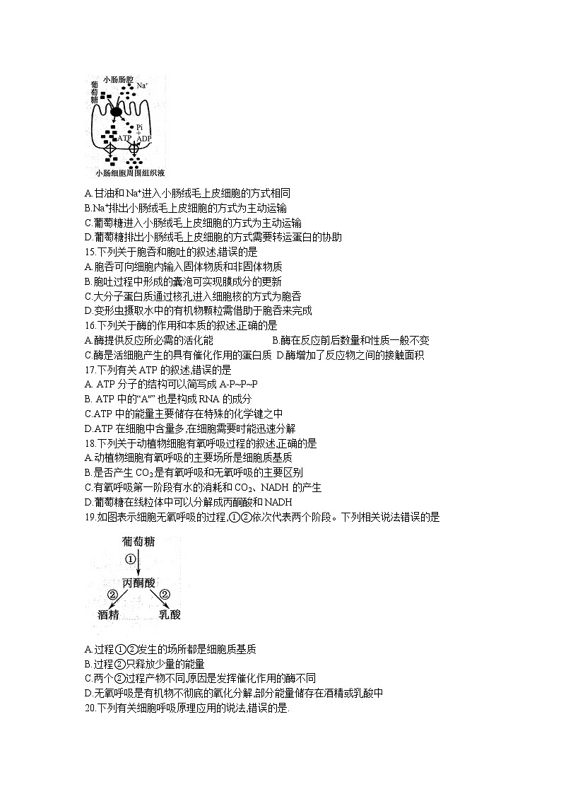 安徽省皖北地区2022-2023学年高一上学期期末联考试题 生物试题第3页