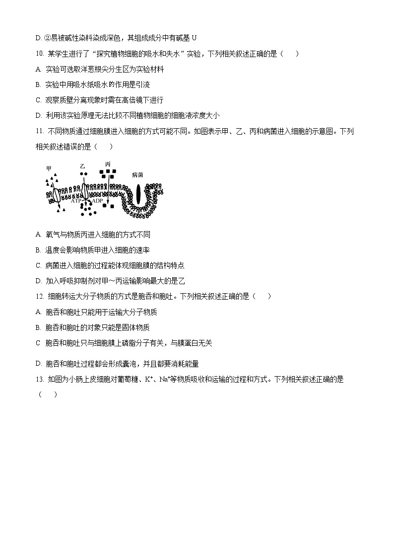 2023安徽省皖南十校高一上学期期末考试生物含答案第3页