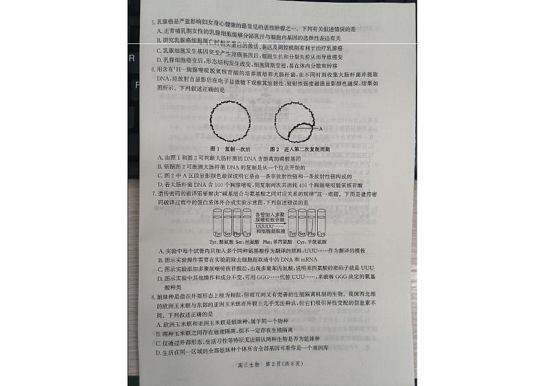 河北省邯郸市2022-2023学年高三上学期期末考试生物试题02