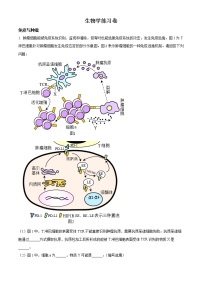 2023上海闵行区高三上学期一模试题（1月）生物含解析