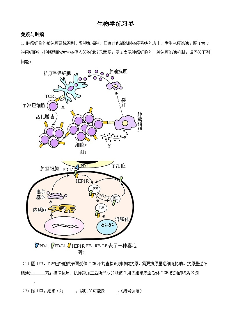 2023上海闵行区高三上学期一模试题（1月）生物含解析01