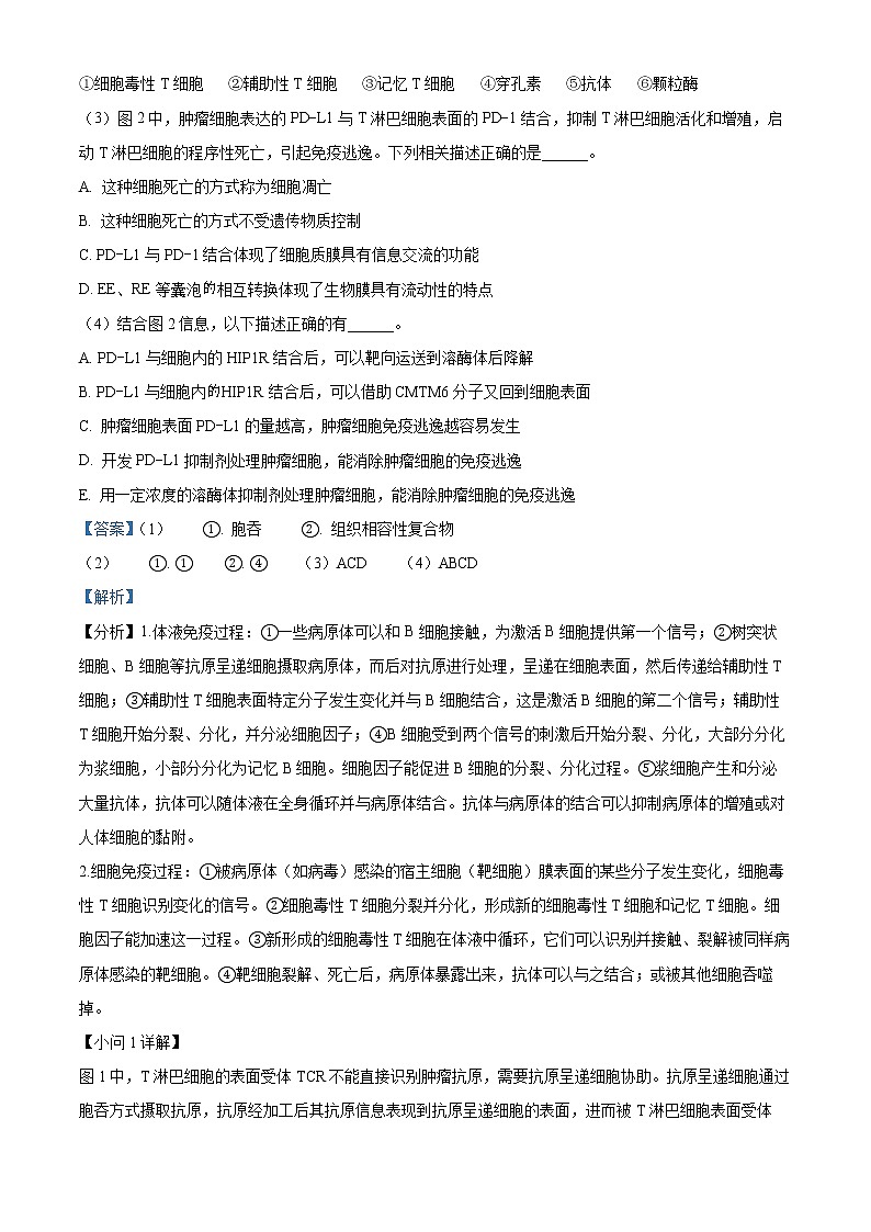 2023上海闵行区高三上学期一模试题（1月）生物含解析02