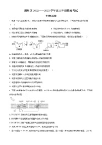 2023北京通州区高三上学期期末摸底考试生物试题含答案