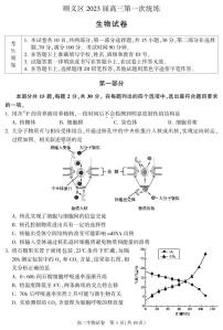 2023北京顺义区高三第一次统练生物试题PDF版含答案