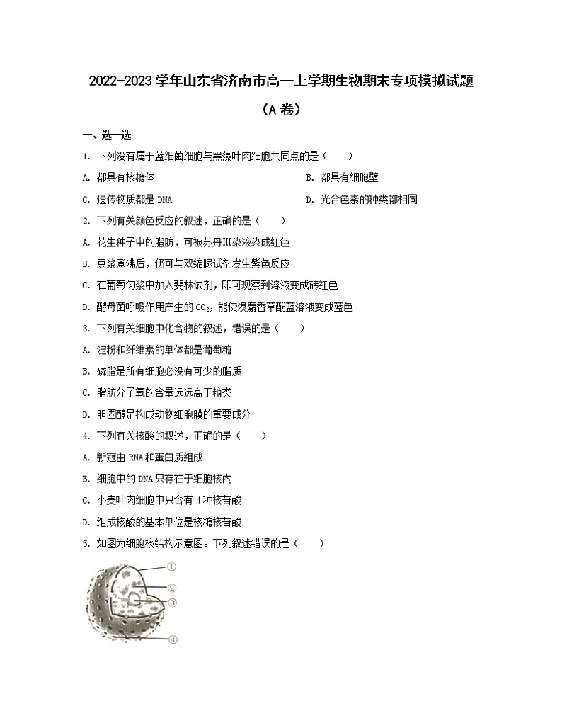 2022-2023学年山东省济南市高一上学期生物期末专项模拟试题（AB卷）含解析01