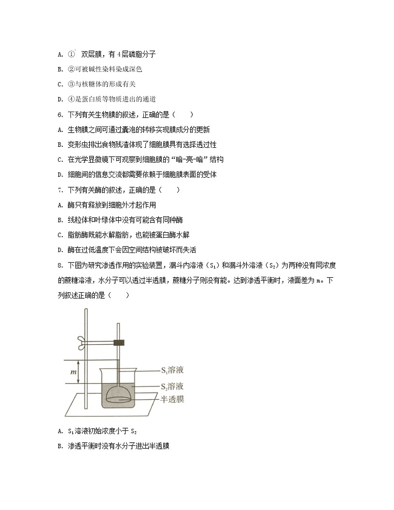 2022-2023学年山东省济南市高一上学期生物期末专项模拟试题（AB卷）含解析02