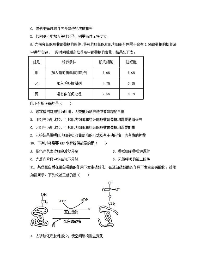 2022-2023学年山东省济南市高一上学期生物期末专项模拟试题（AB卷）含解析03