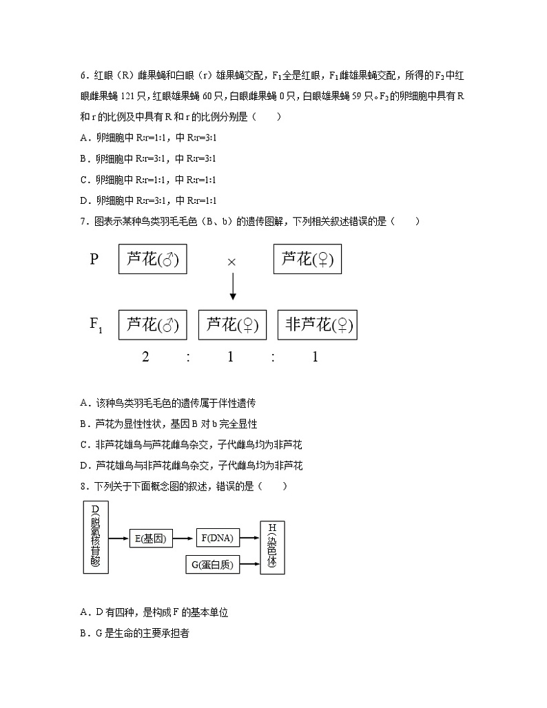 2022-2023学年辽宁省朝阳市高一下册生物期末专项突破模拟题（AB卷）含解析第2页