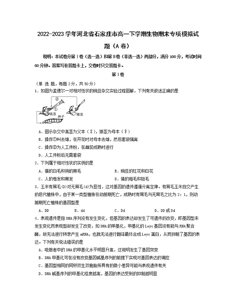 2022-2023学年河北省石家庄市高一下学期生物期末专项模拟试题（AB卷）含解析01
