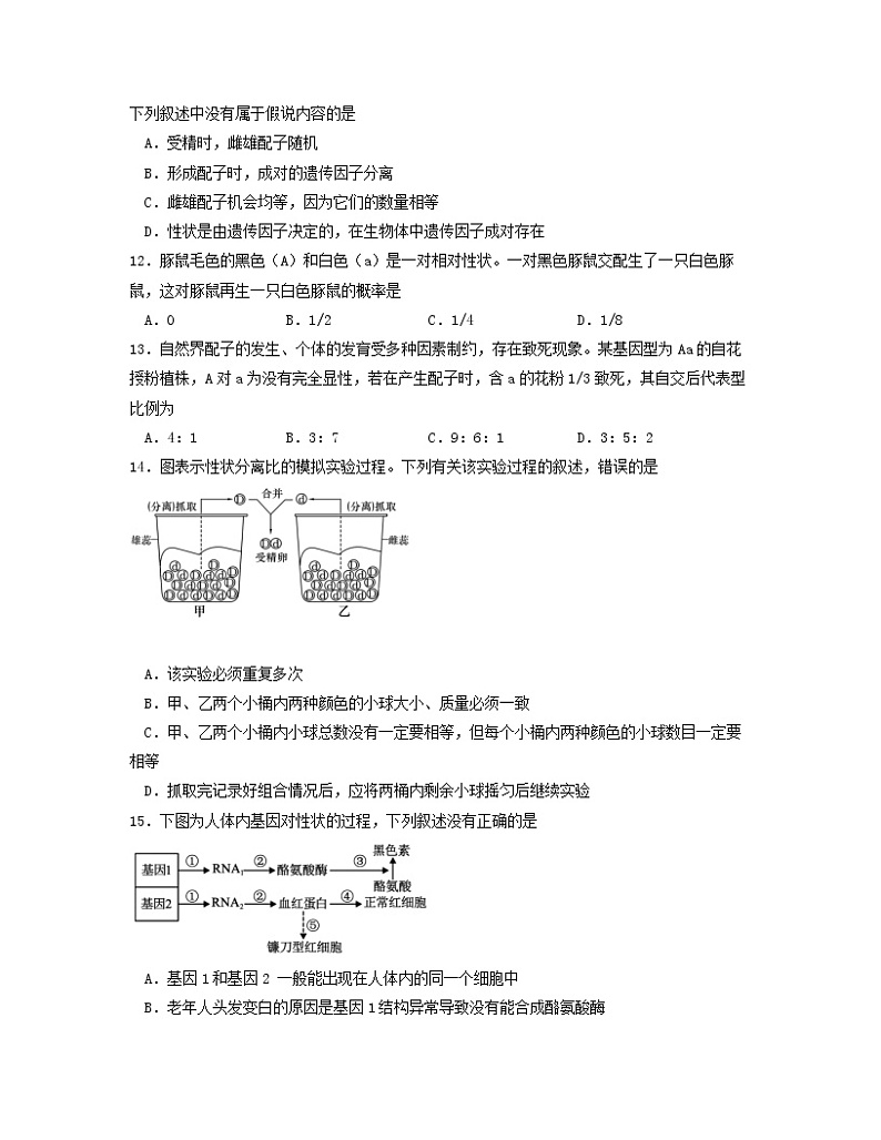 2022-2023学年河北省石家庄市高一下学期生物期末专项模拟试题（AB卷）含解析03