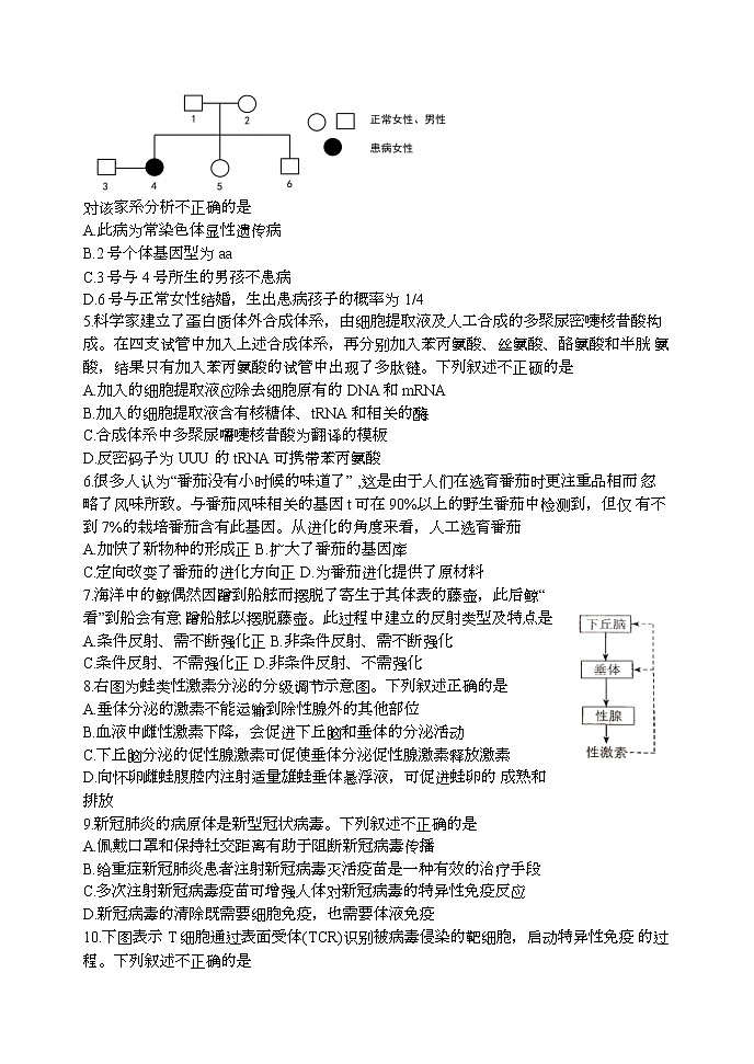 2023北京石景山区高三上学期期末考试生物试题含答案02