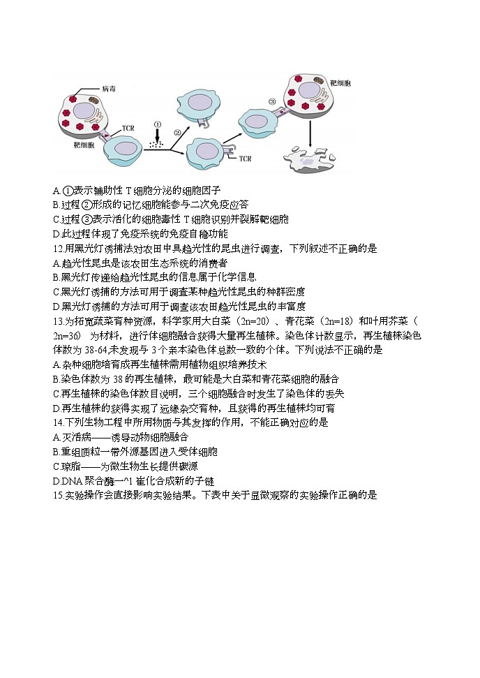 2023北京石景山区高三上学期期末考试生物试题含答案03