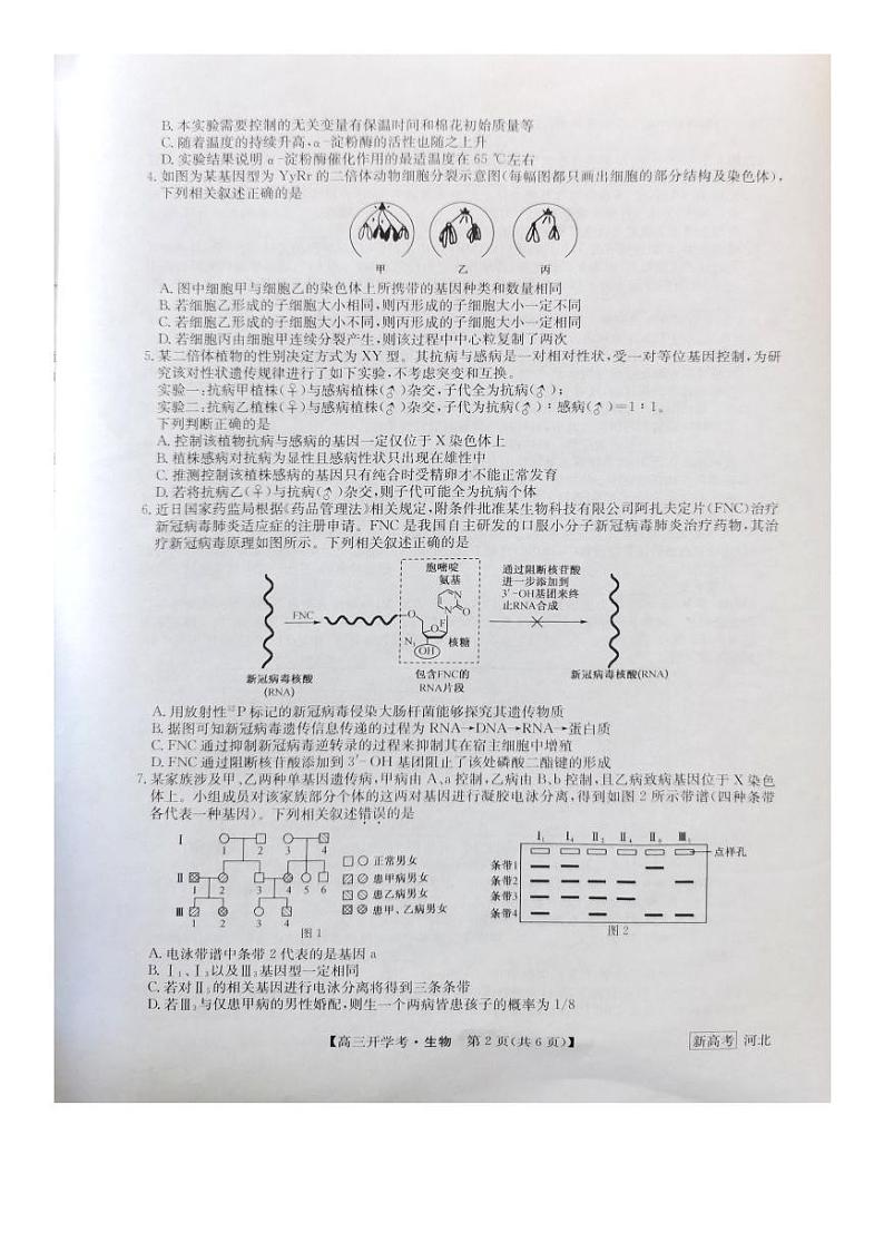 2023邯郸部分学校高三下学期开学考试生物试题PDF版含答案02