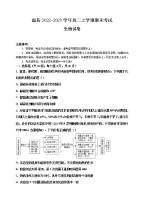 2022-2023学年河南省焦作市温县高二上学期期末考试生物学试卷（Word版含答案）