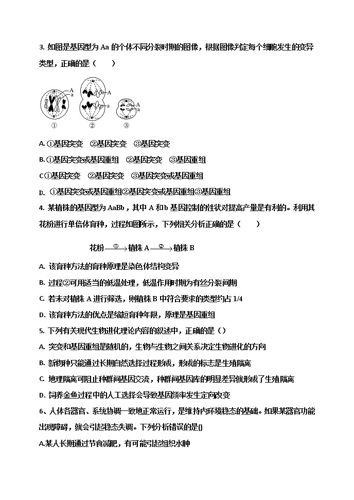 2022-2023学年河南省焦作市温县高二上学期期末考试生物学试卷（Word版含答案）02