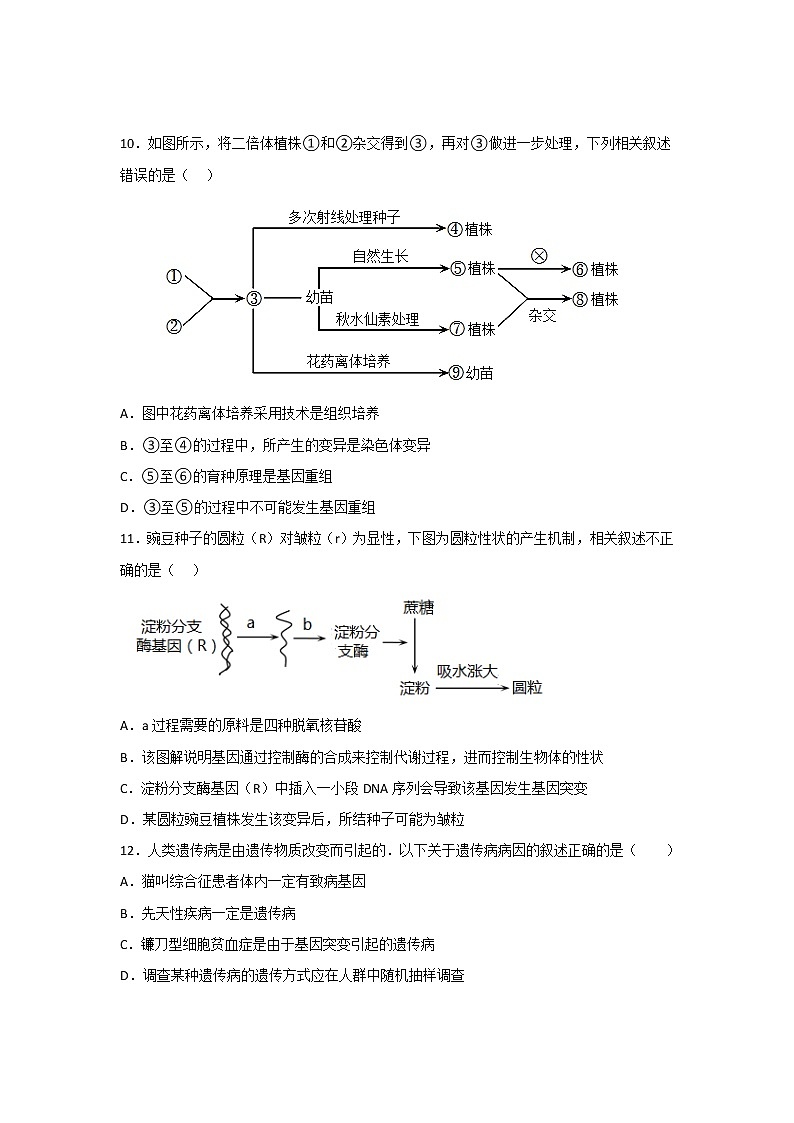 2022-2023学年西藏拉萨中学高二上学期期末考试生物试题 （Word版）03