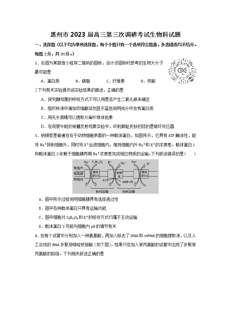 2022-2023学年广东省惠州市高三下学期第三次调研考试（2月） 生物 Word版含答案01