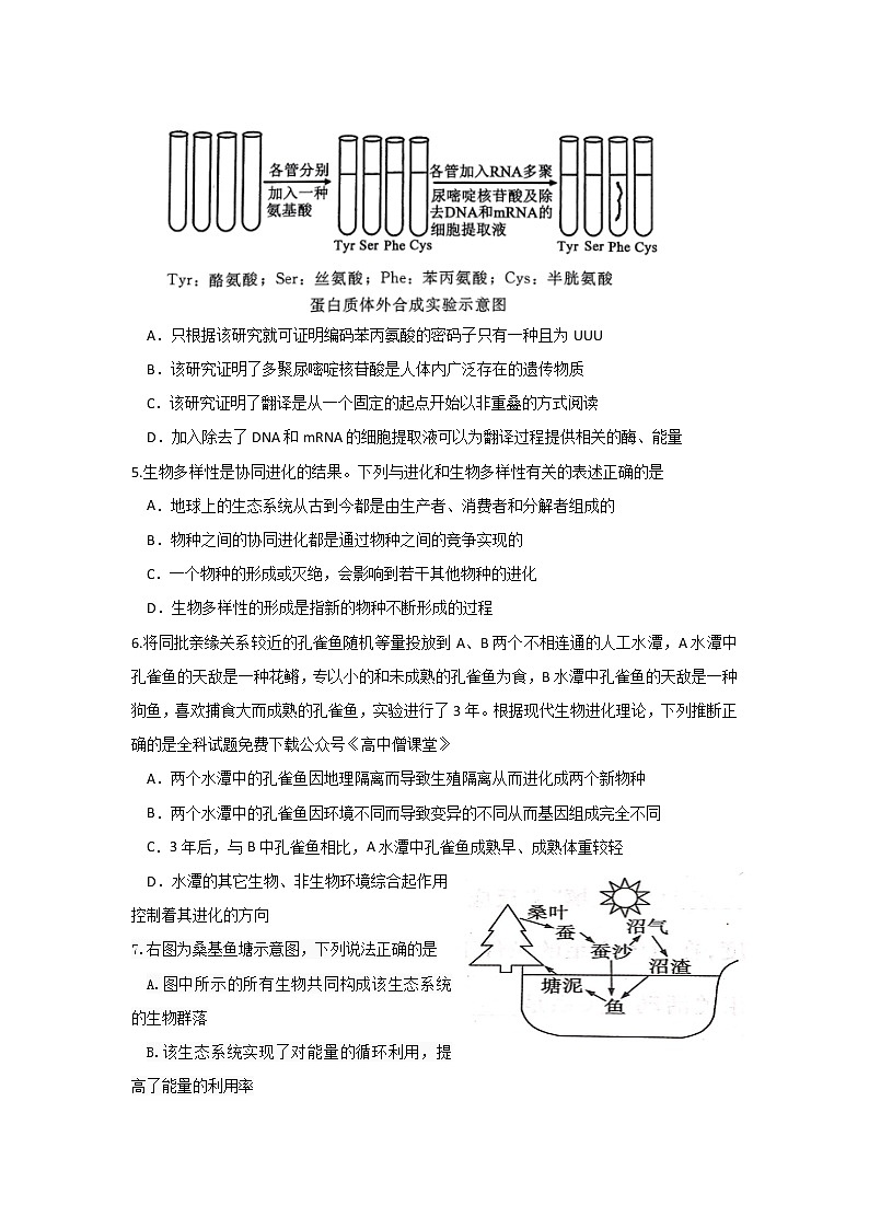 2022-2023学年广东省惠州市高三下学期第三次调研考试（2月） 生物 Word版含答案02