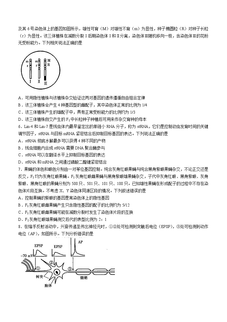 2022-2023学年广东省实验中学部分名校高三下学期开学考试生物学试题（word版）02