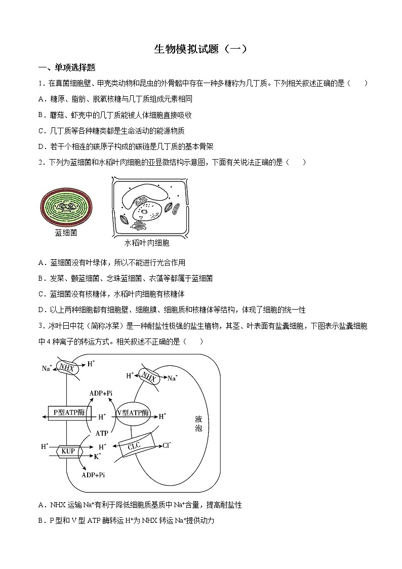 2022-2023学年河北省廊坊市一中高三12月第一次模拟生物试题（解析版）第1页