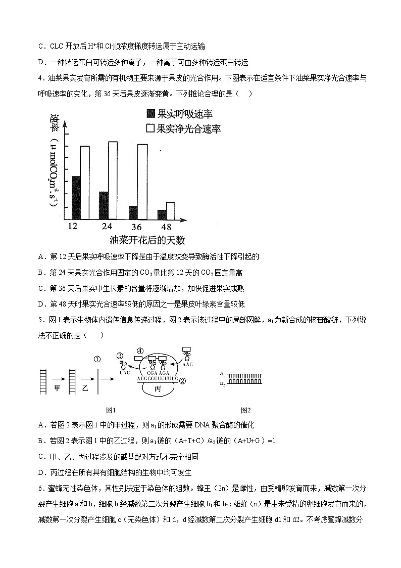 2022-2023学年河北省廊坊市一中高三12月第一次模拟生物试题（解析版）第2页