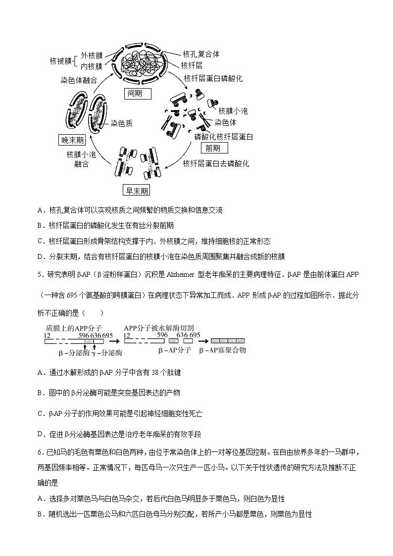 2022-2023学年湖北省高三上学期第一次模拟联考生物试题02