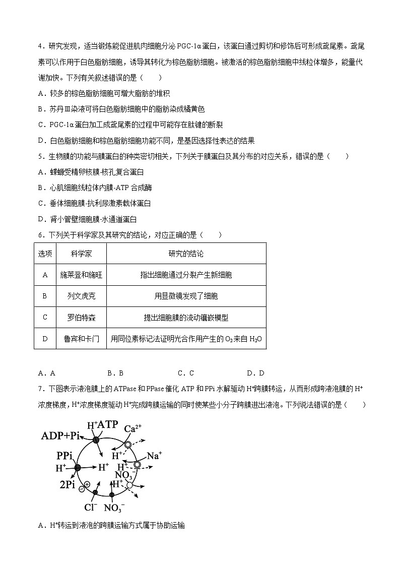 2022-2023学年吉林省白山市抚松县中高三上学期第一次模拟考试生物试题（解析版）第2页