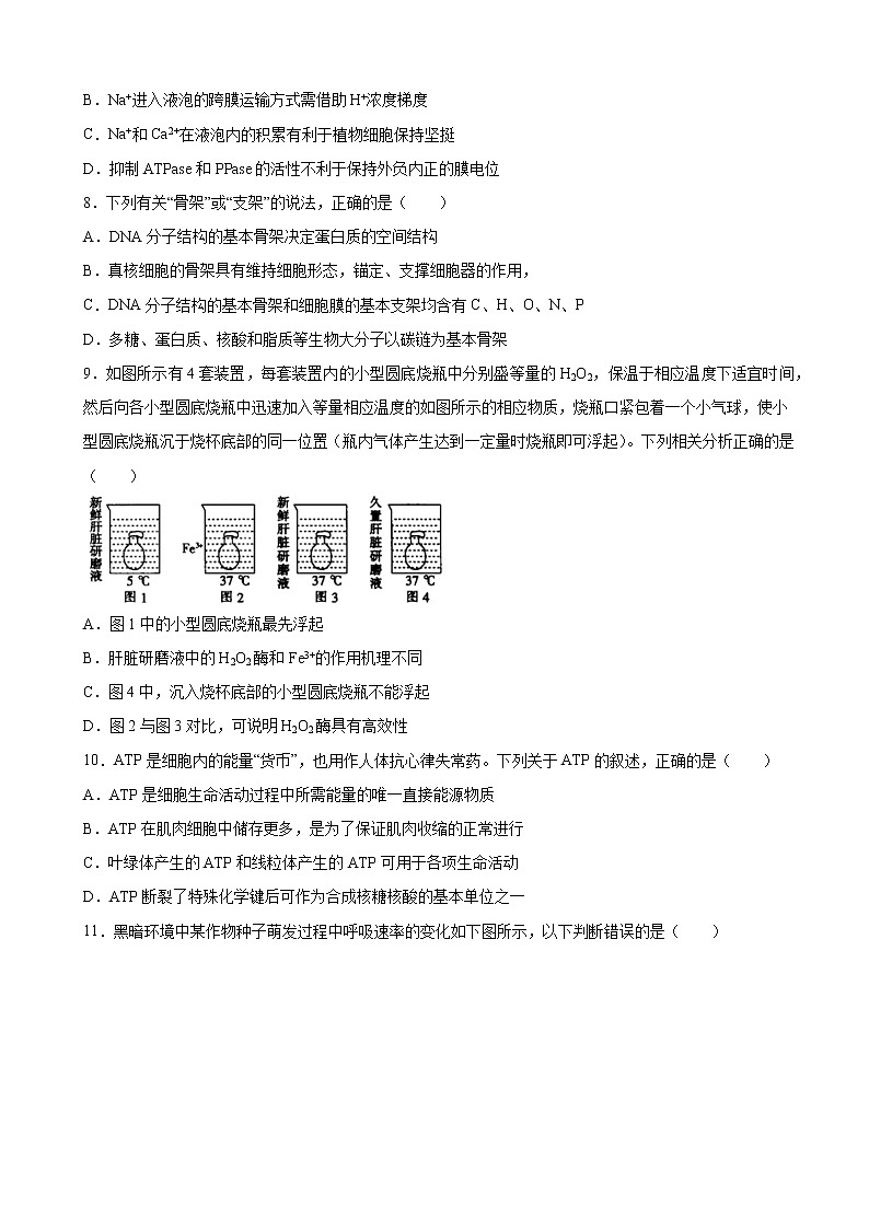 2022-2023学年吉林省白山市抚松县中高三上学期第一次模拟考试生物试题（解析版）第3页