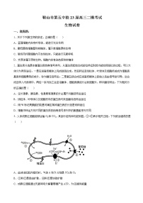 2022-2023学年辽宁省鞍山市五中校高三上学期第二次模拟考试生物试题（解析版）