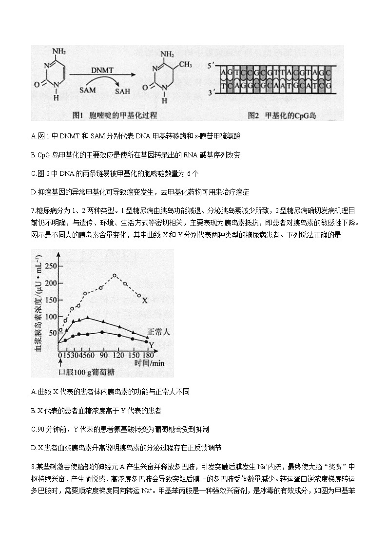 2022-2023学年辽宁省实验中学名校联盟高三上学期1月高考模拟调研卷（二）生物（解析版）第3页